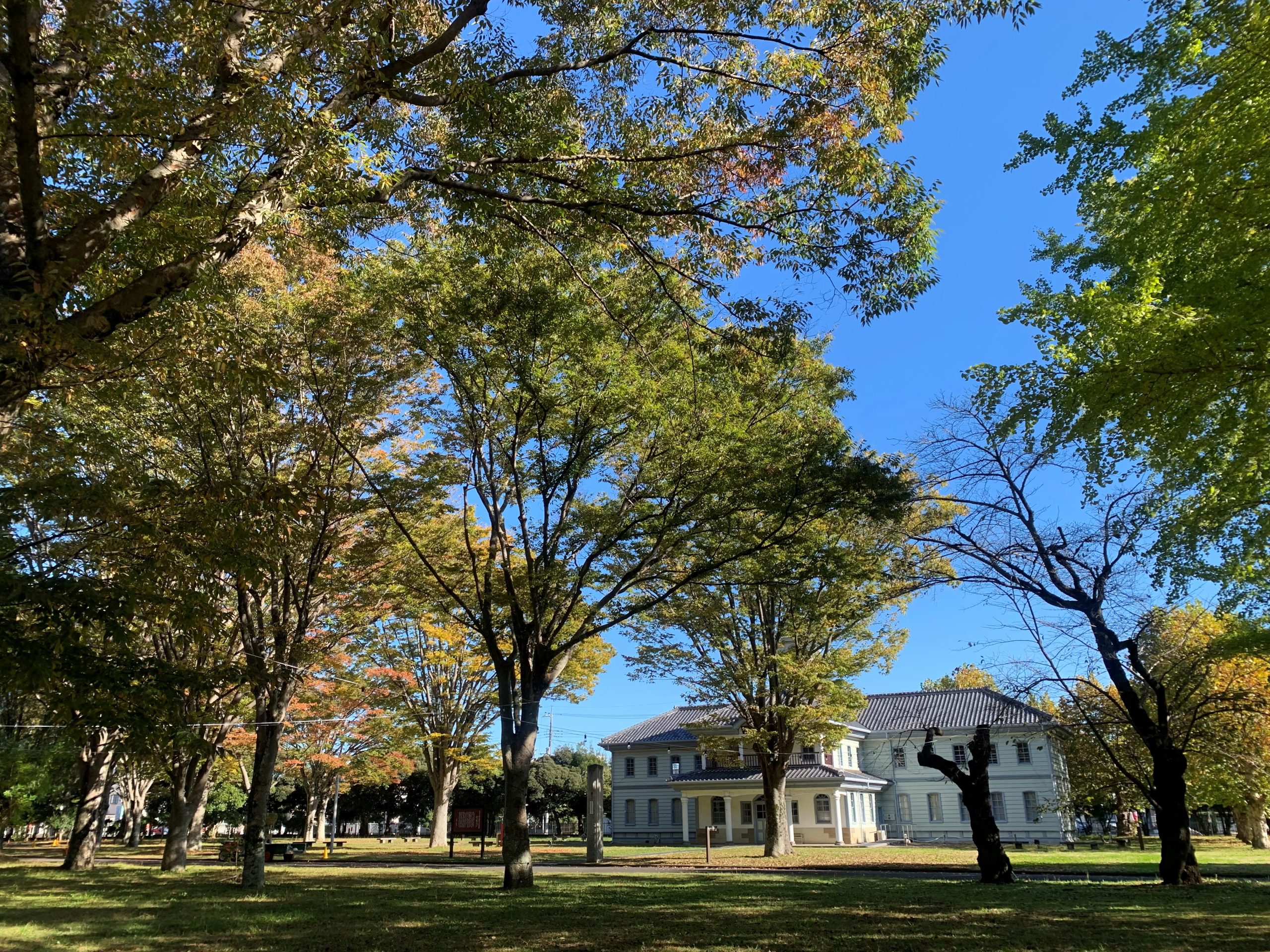 11月7日庭園