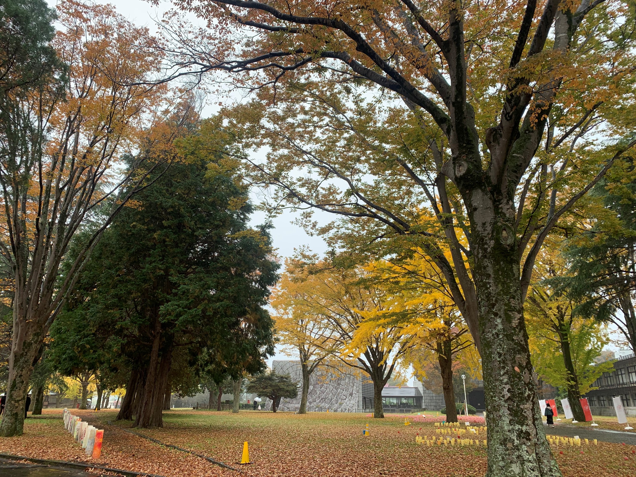 11月17日庭園