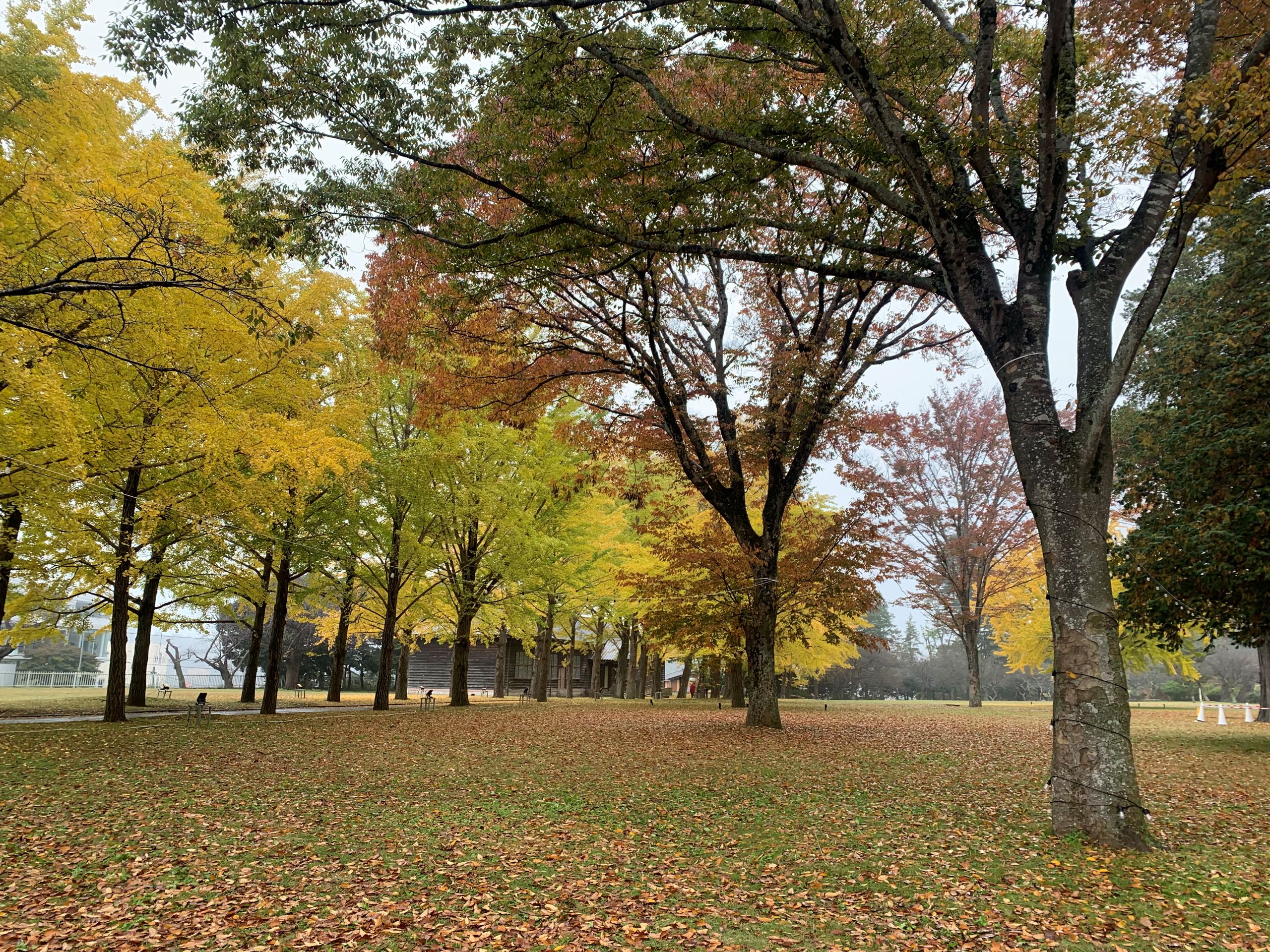 11月17日庭園