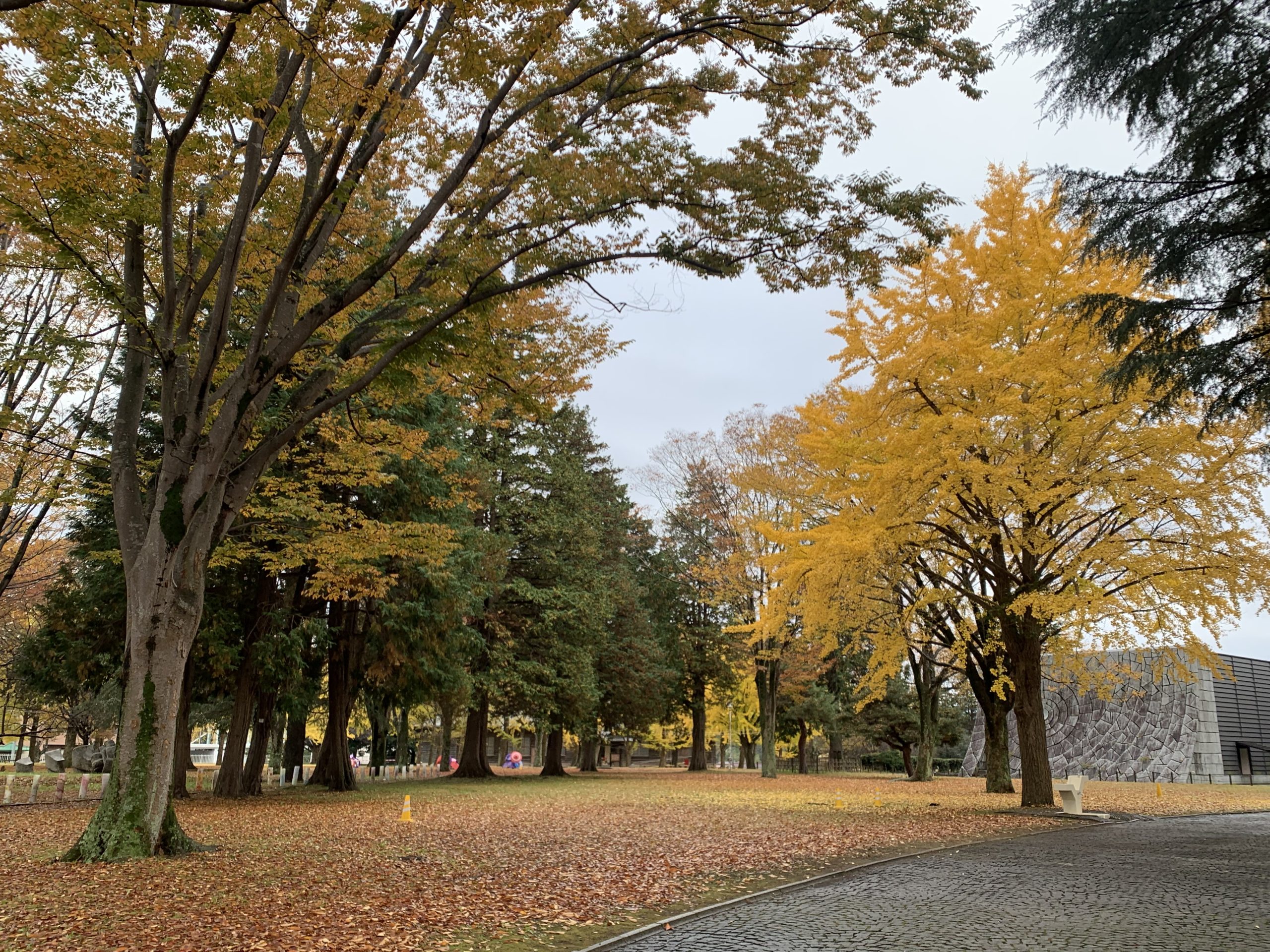 11月21日庭園