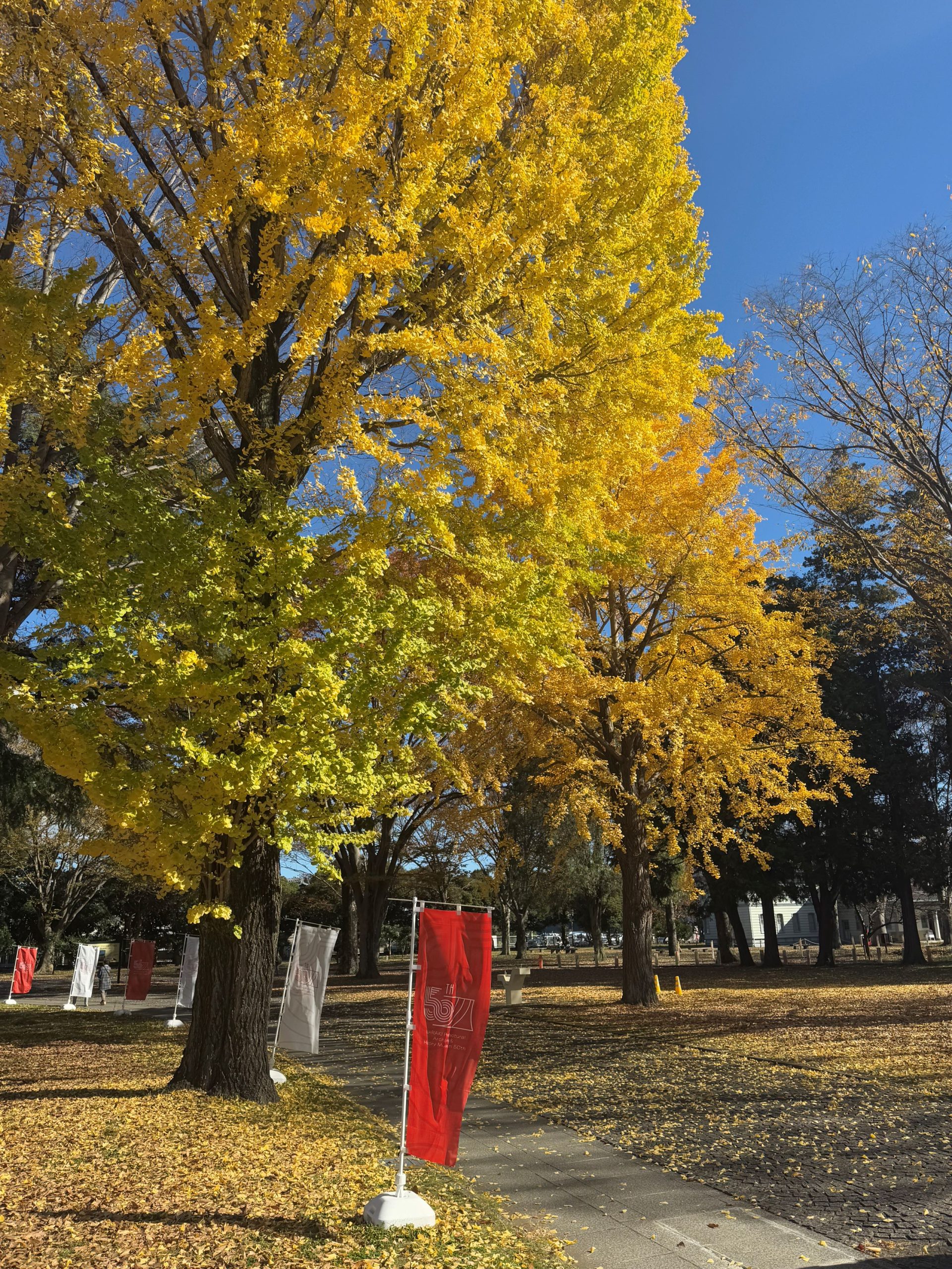 11月23日庭園