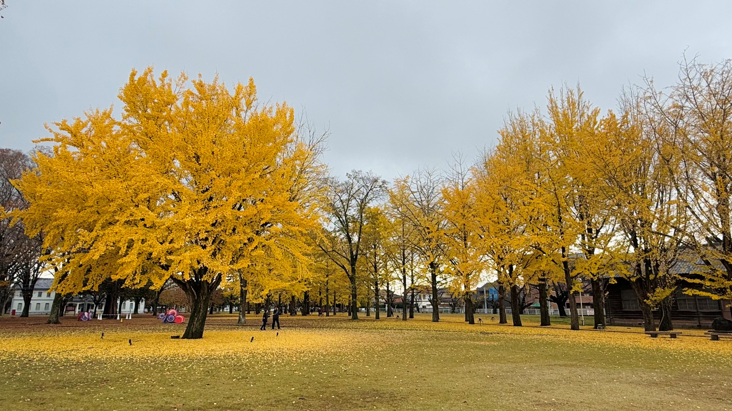 11月27日庭園